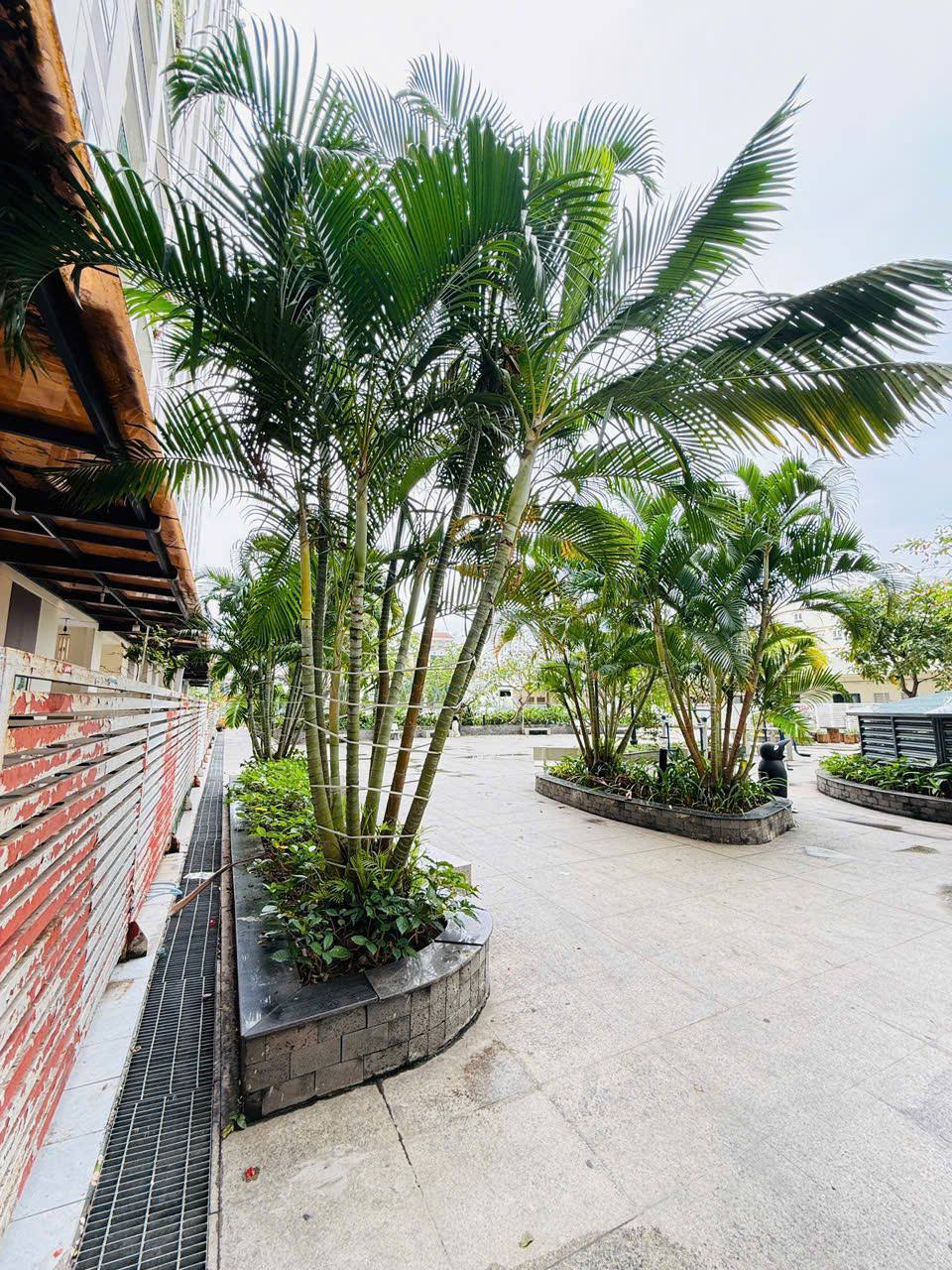 Thu Huong Land - Minh Thái Luật sư và Bất động sản